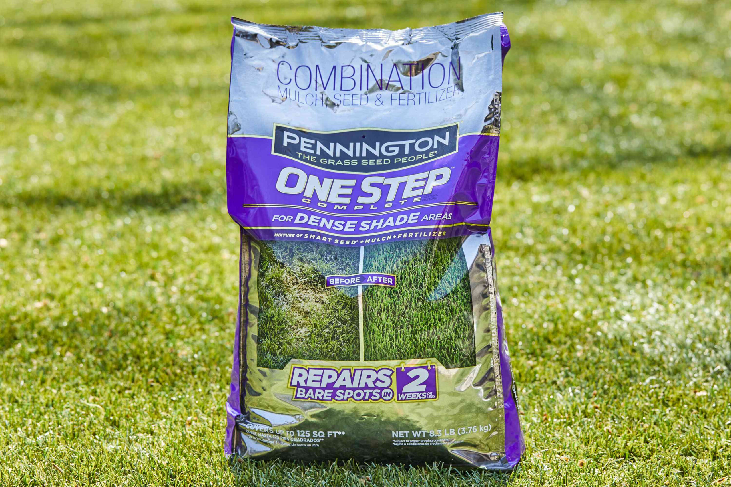 The 11 Best Grass Seed Products Of 2023 |The Spruce